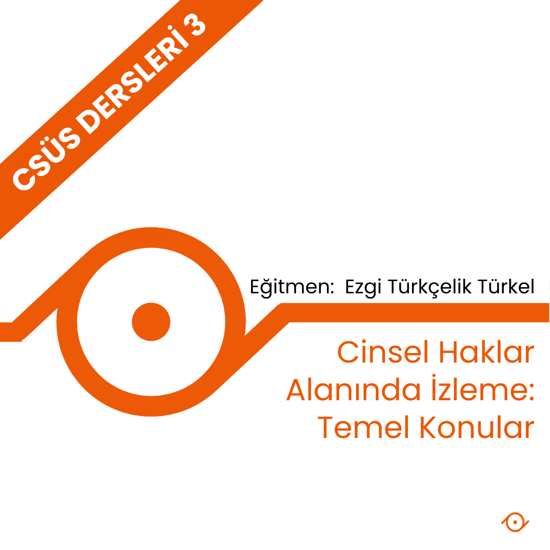 Cinsel Haklar Alanında İzleme: Temel Konular